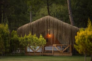 thumbnail: Exterior