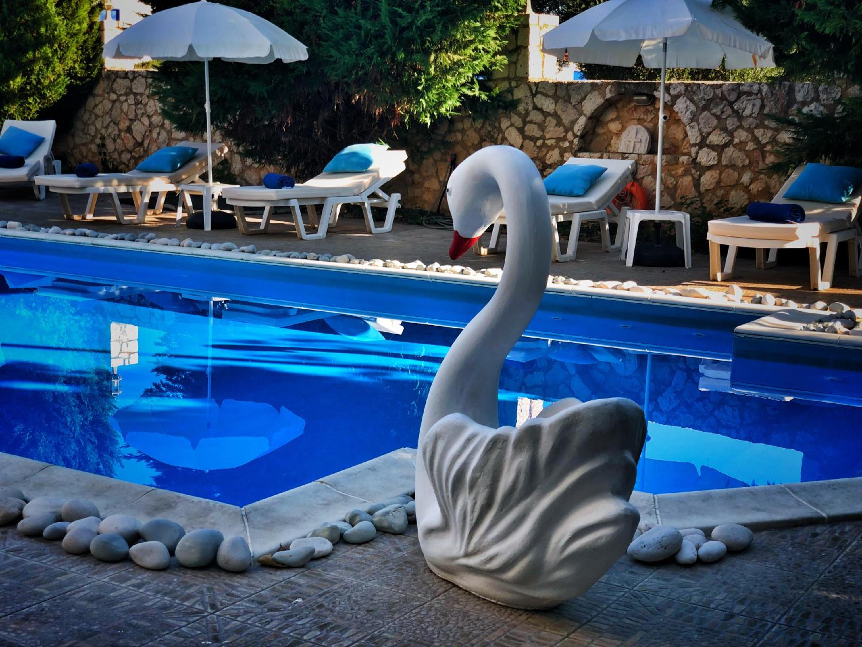 Amenities