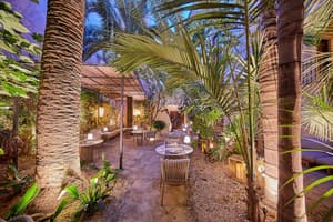 thumbnail: Garden