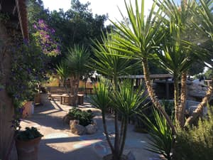 thumbnail: Property grounds