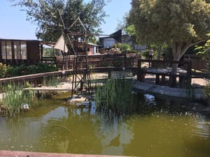thumbnail: Property grounds