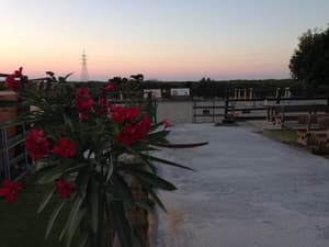 thumbnail: Property grounds