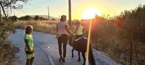 thumbnail: Horseback riding