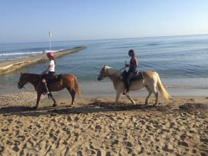 thumbnail: Horseback riding