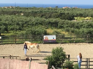thumbnail: Horseback riding