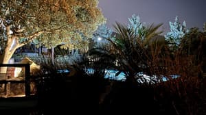 thumbnail: Garden
