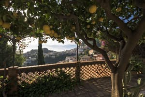 thumbnail: Balcony view