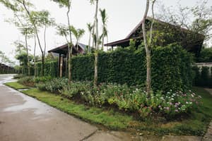 thumbnail: Garden
