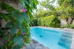 thumbnail: 217180930.jpg