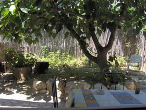 thumbnail: 20102972.jpg