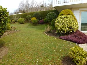 thumbnail: General view