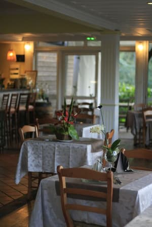 thumbnail: Dining