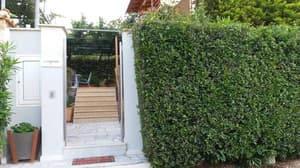 thumbnail: Property entrance