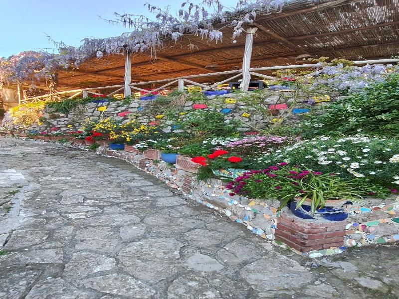 General view