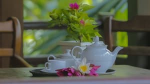 thumbnail: Terrace/patio