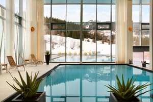 thumbnail: Indoor/outdoor pool