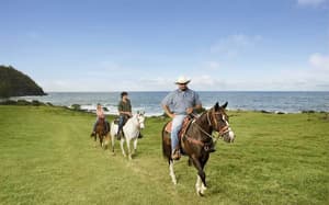 thumbnail: Horseback riding