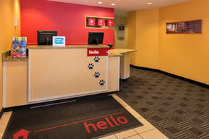 thumbnail: Reception