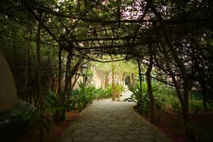 thumbnail: Garden