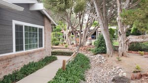 thumbnail: Property grounds