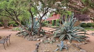 thumbnail: Property grounds