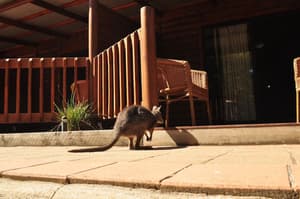 thumbnail: Terrace/patio