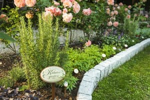 thumbnail: Garden