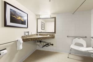 thumbnail: Accessible bathroom
