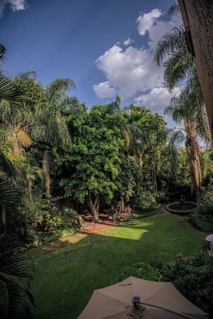 thumbnail: Property grounds