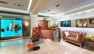 thumbnail: Reception