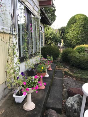 thumbnail: Garden