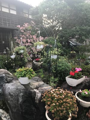 thumbnail: Garden