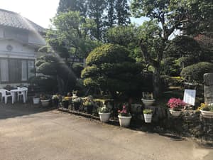 thumbnail: Garden