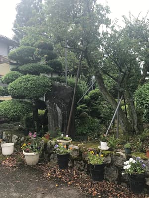 thumbnail: Garden