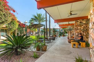 thumbnail: Terrace/patio