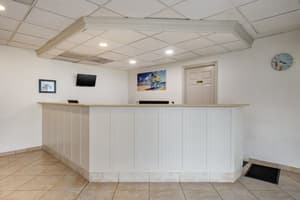 thumbnail: Reception