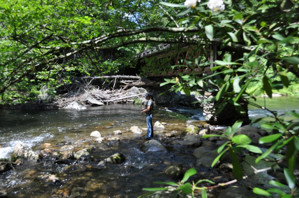 Fishing