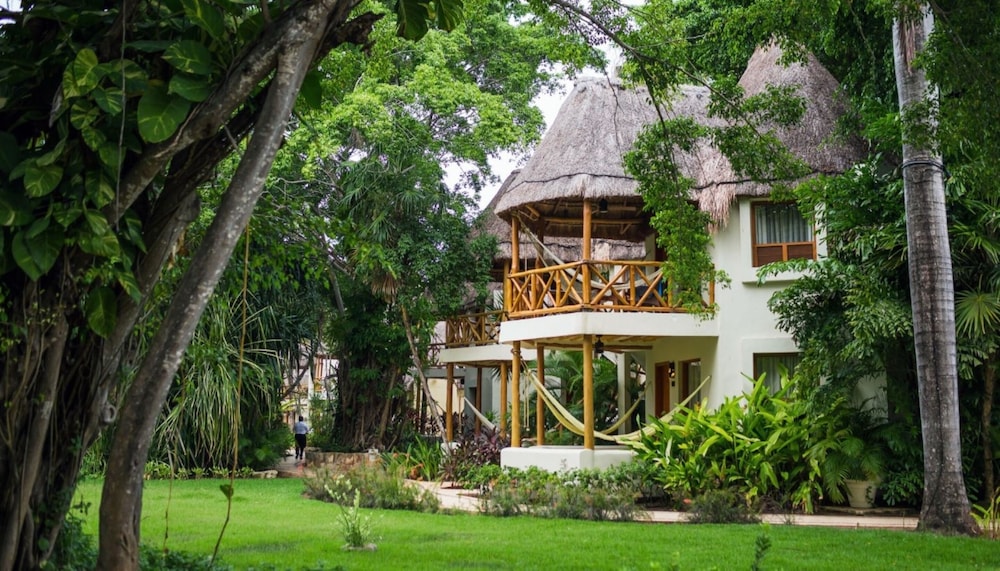 Garden view