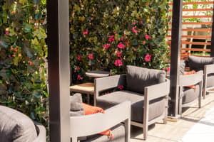 thumbnail: Rooftop terrace