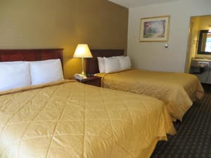 thumbnail: General view