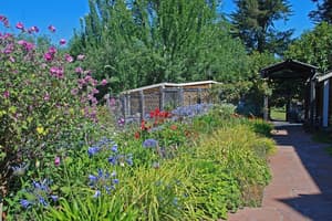 thumbnail: Garden