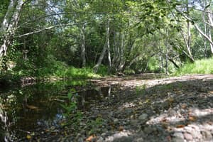 thumbnail: Property grounds