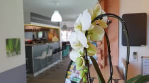 thumbnail: Reception