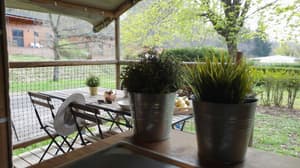 thumbnail: Terrace/patio