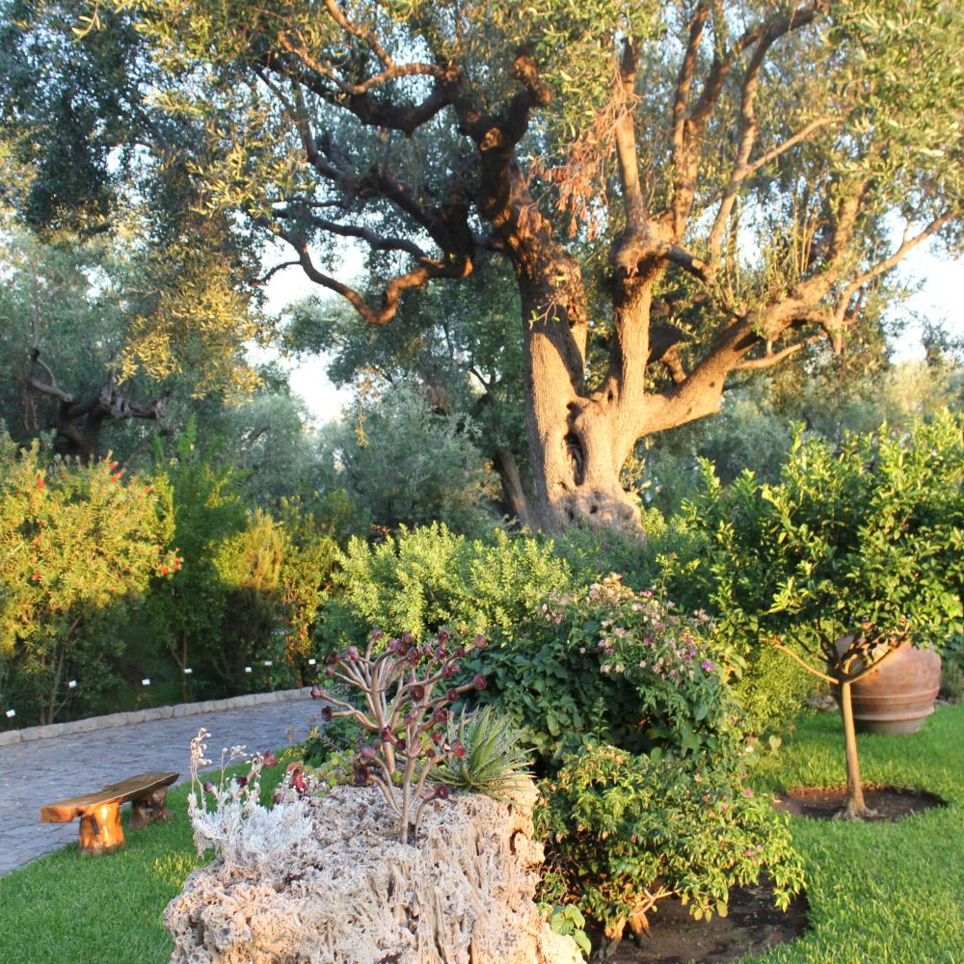 Surroundings