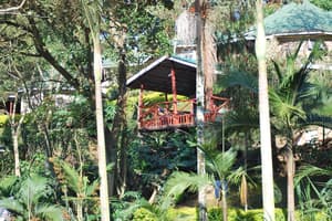 thumbnail: Property grounds