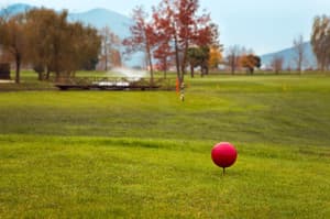 thumbnail: Sports and Entertainment