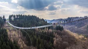 thumbnail: General view