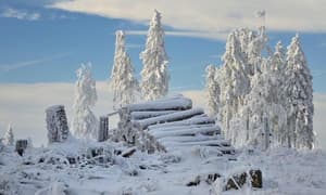 thumbnail: General view