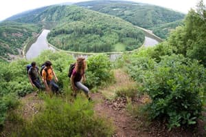 thumbnail: General view